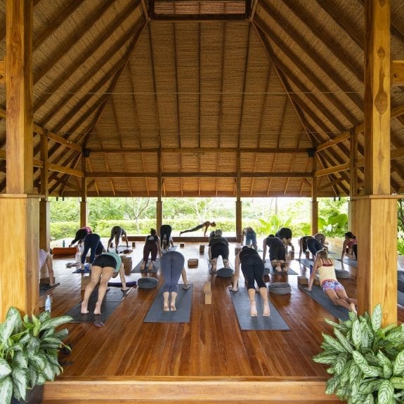 Bodhi Tree Yoga