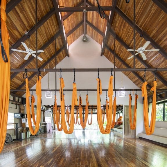 Home, Bodhi Tree Yoga Studio