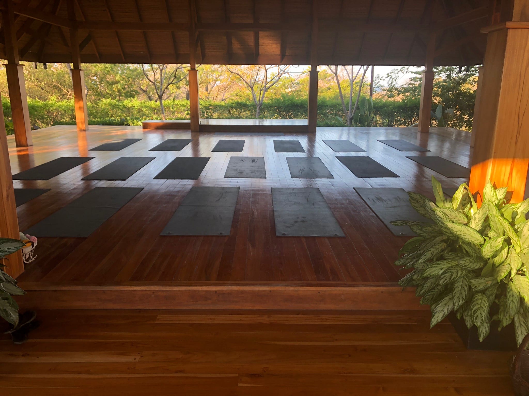Eat. Breathe. Nourish. Women’s Yoga and Wellness Retreat Bodhi Tree