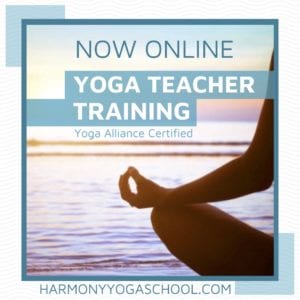 Join Our Upcoming ONLINE 200 Hour Yoga Teacher Trainings!
