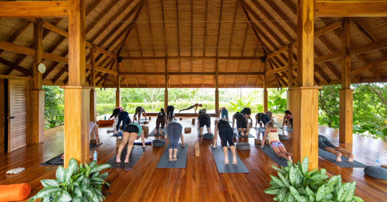 Radiance Retreat - Bodhi Tree Yoga Resort