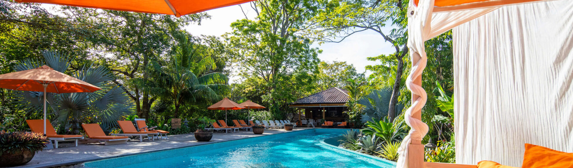 Yoga, Energy, Breath & Connection