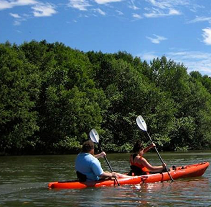 Kayak & Sup at Bocas de Nosara Mangrove