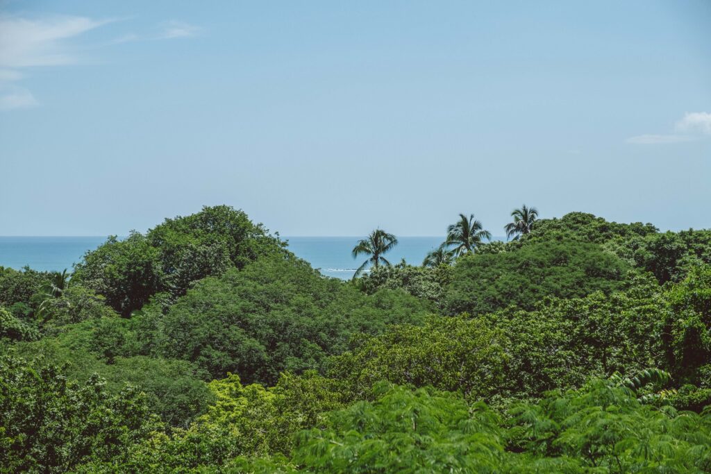 Planning a Relaxing Trip to Nosara: What to Know Before You Go