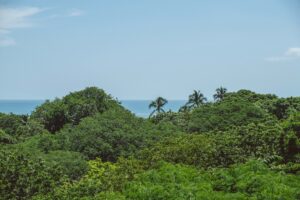 Planning a Relaxing Trip to Nosara: What to Know Before You Go