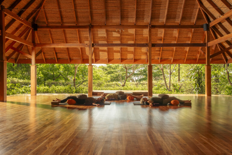 Bodhi Tree Signature Retreat March - Bodhi Tree Yoga Resort