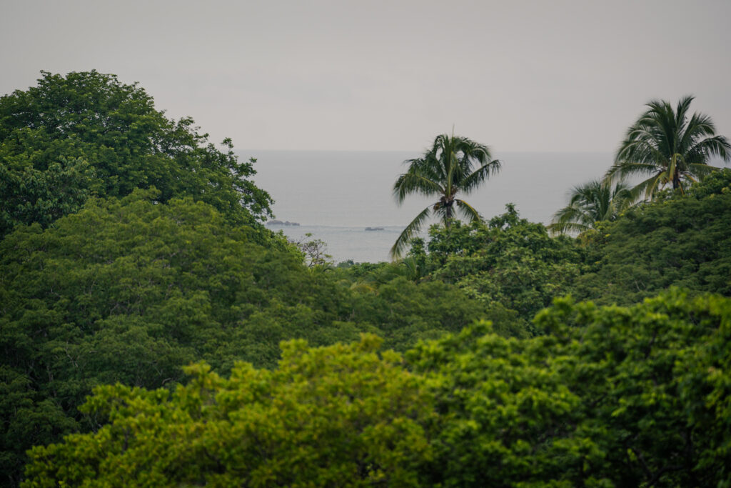 The Best Yoga Retreats for January 2026 in Nosara, Costa Rica