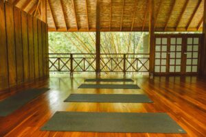 Best Yoga Retreats in Nosara, Costa Rica for March 2025