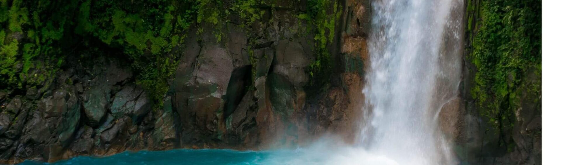 Recharge & Revitalize